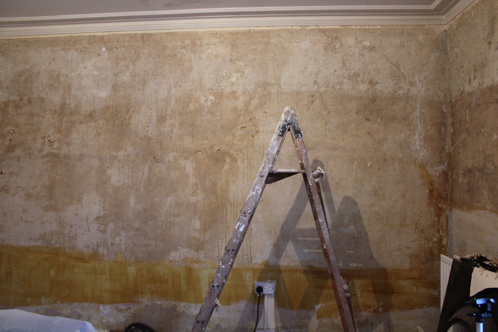 Wallpaper Removal in Sparks, Nevada